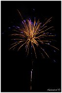 IMG_2563
