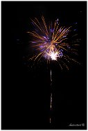 IMG_2569