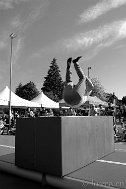 _DSF8216