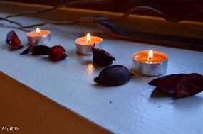 MOR_3917