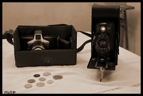 MOR_4029
