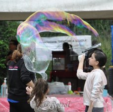 DSC_0202 (2)