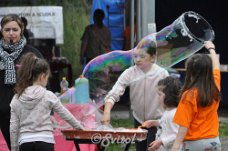 DSC_0209 (1)