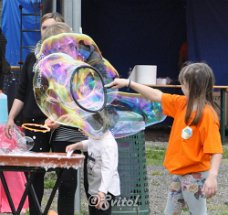 DSC_0219 (3)