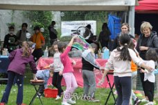 DSC_0223 (2)