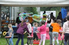 DSC_0224 (2)