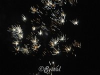 DSC 0407 (4)