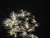 DSC 0408 (5)