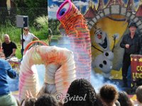 DSC 0546 (2)