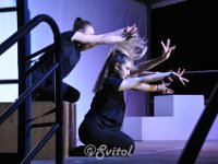 DSC 0213 (7)