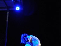 DSC 0302 (6)