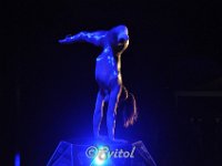 DSC 0339 (5)