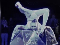 DSC 0383 (6)