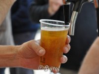 DSC 0297 (8)