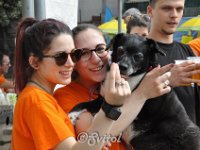 DSC 0352 (6)