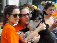 DSC 0353 (6)