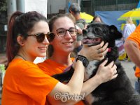 DSC 0355 (6)