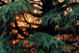 20240510_201947 ok