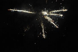DSC_1029