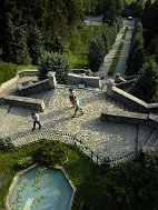 _DSC5426