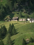 IMG_0660