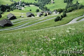 DSC_4049_marcolino