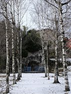 _DSF5526 Marcia della pace 2017