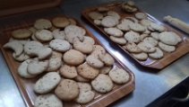 IMG-20200801-WA0001