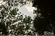 MOR_8235