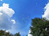 15_IMG_20200927_123940