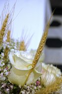 004_DSCF5981_X-T3