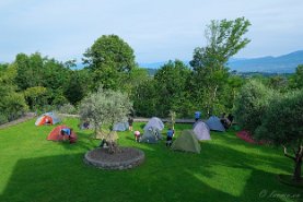DSCF7736_X-T3