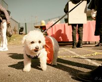 DSCF0448_X-T3