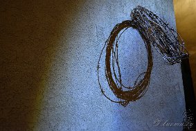 _DSF0181