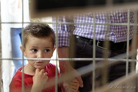 _DSF9317 Festa del paese 2017
