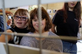 _DSF9334 Festa del paese 2017