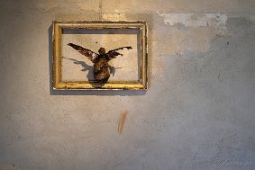 DSCF1863_X-E4